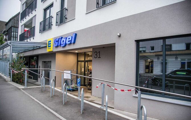 Spinne Esslingen Edeka Supermarkt Gift_2