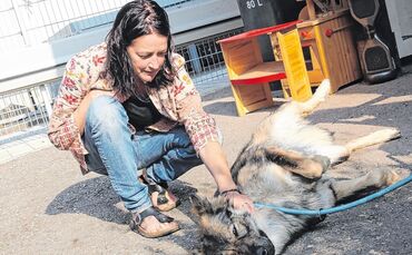 3b2b7b82-dc57-4f5a-ba07-38111535b44f.jpg_0