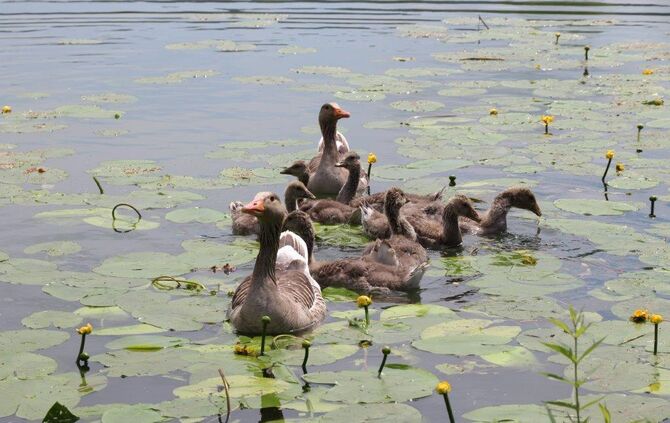 206a0b6a-cb31-40d3-a0f0-932948f4c4a1.jpg_0