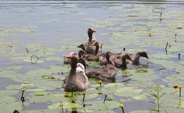 206a0b6a-cb31-40d3-a0f0-932948f4c4a1.jpg_0