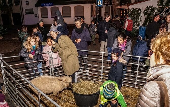 Weihnachtsmarkt - Bild 01_1