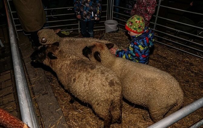 Weihnachtsmarkt - Bild 37_36