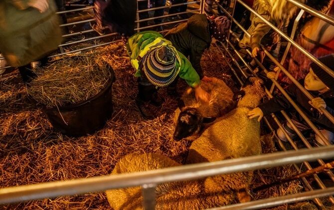 Weihnachtsmarkt - Bild 53_52