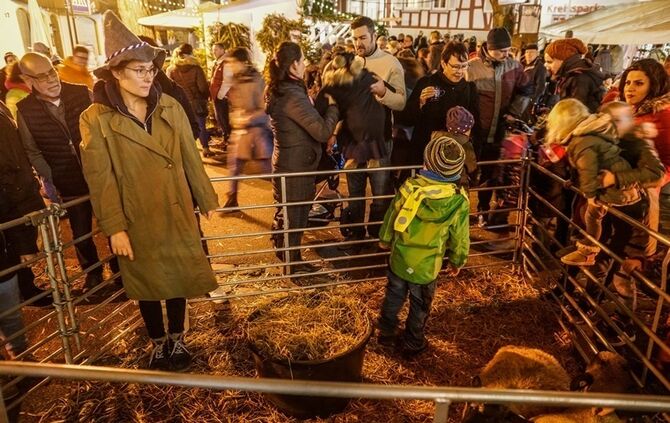 Weihnachtsmarkt - Bild 54_53