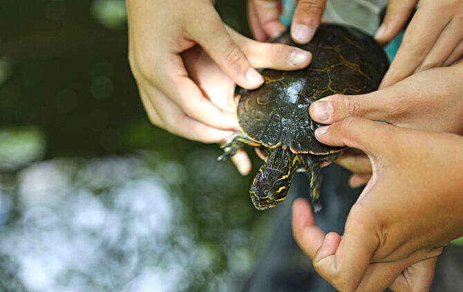 Aquarium Salier Schulzentrum_0