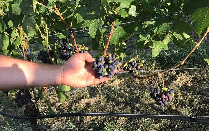 4896c7e5-96ed-4aa2-be44-8dfe707d6536.jpg_0