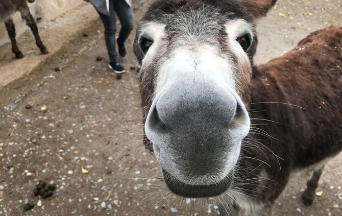 Gnadenhof Vorderwestermurr_1