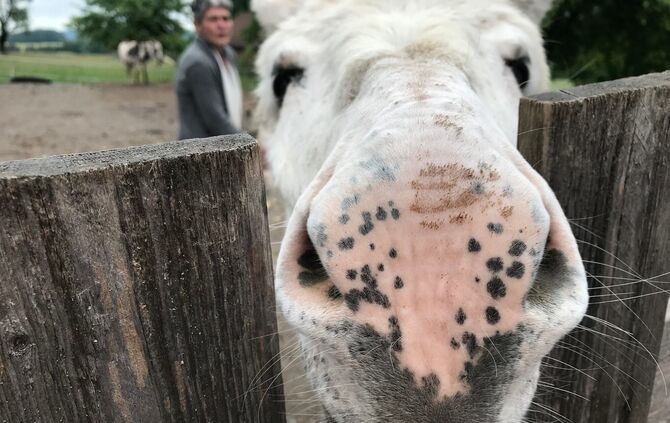 Gnadenhof Vorderwestermurr_5