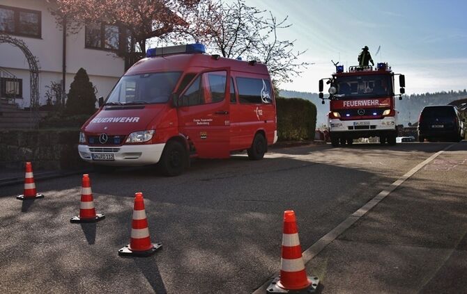 Rudersberg-Steinenberg: Waschbaer haengt in Blitzableiter fest - Einsatz fuer die Feuerwehr