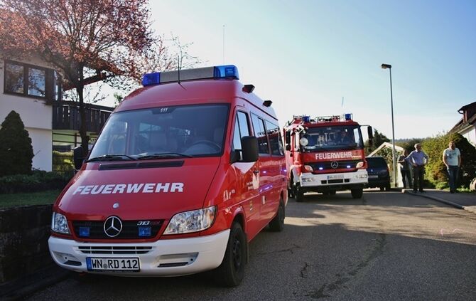 Rudersberg-Steinenberg: Waschbaer haengt in Blitzableiter fest - Einsatz fuer die Feuerwehr