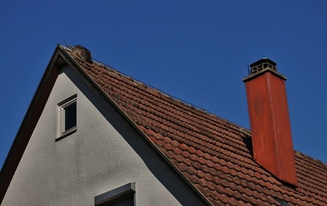 Rudersberg-Steinenberg: Waschbaer haengt in Blitzableiter fest - Einsatz fuer die Feuerwehr