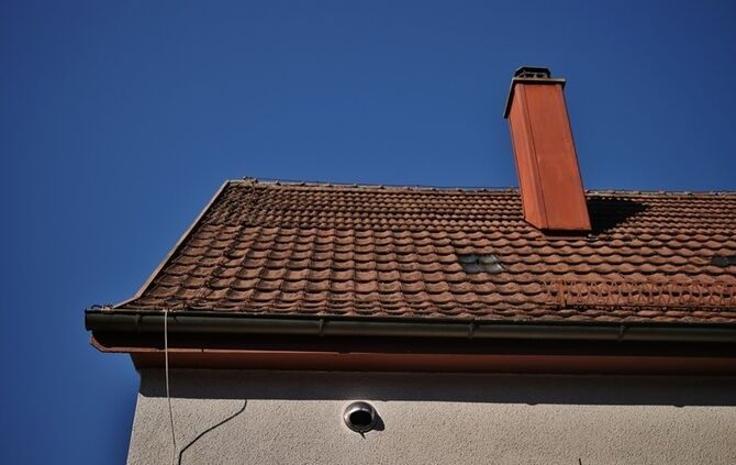 Rudersberg-Steinenberg: Waschbaer haengt in Blitzableiter fest - Einsatz fuer die Feuerwehr
