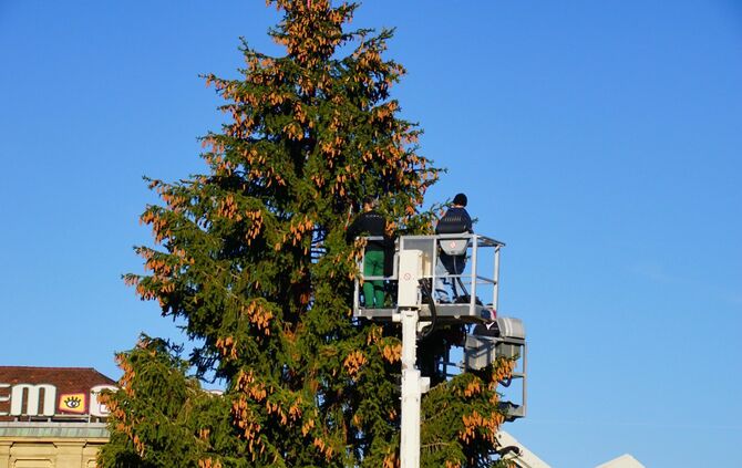Weihnachtsbaum Stuttgart 2018_1