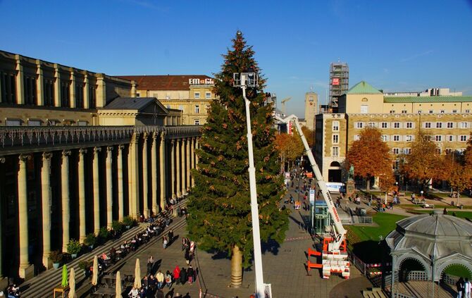 Weihnachtsbaum Stuttgart 2018_4