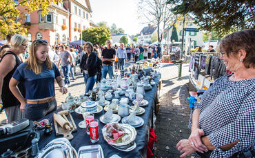 36. Trödel- und Flohmarkt - Bild 71_70