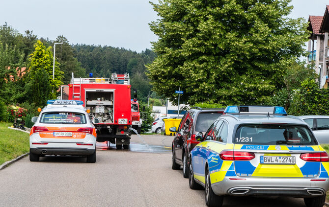 Ein Toter bei Brand - Bild 01_1
