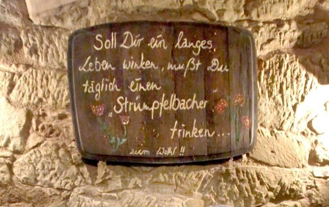 Nuss Bildergalerie_7