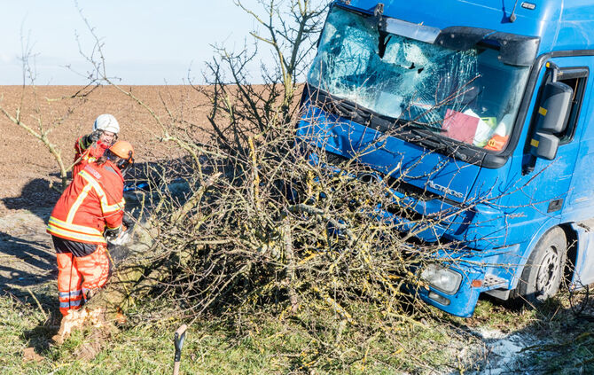 Lkw prallt gegen Baum_0