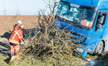 Lkw prallt gegen Baum_0