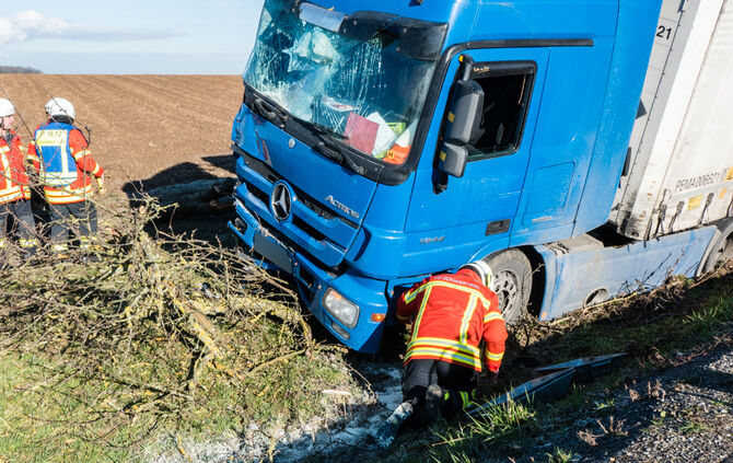 Lkw prallt gegen Baum_1