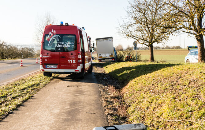 Lkw prallt gegen Baum_4