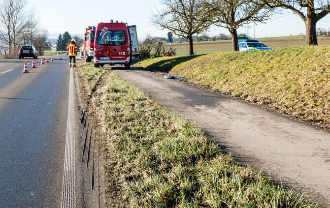 Lkw prallt gegen Baum_5