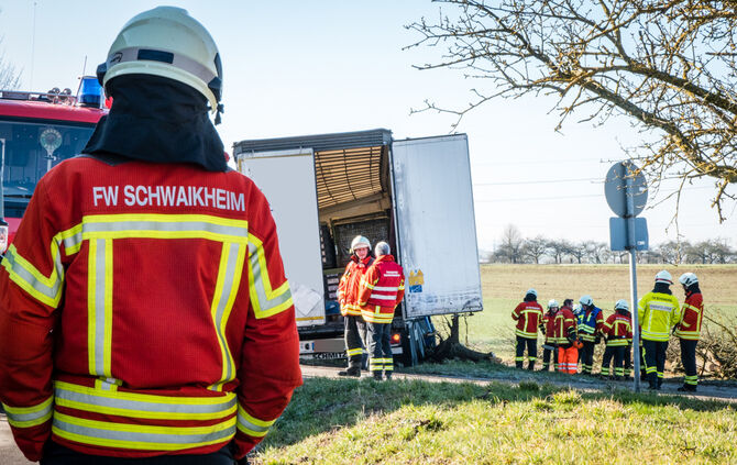 Lkw prallt gegen Baum_6