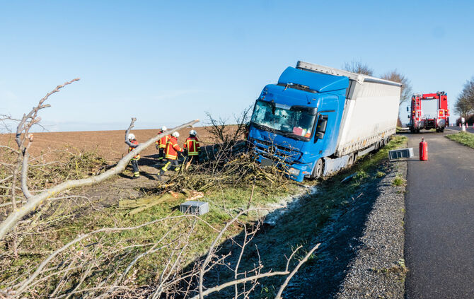 Lkw prallt gegen Baum_8