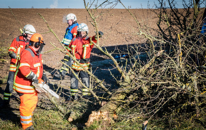 Lkw prallt gegen Baum_10