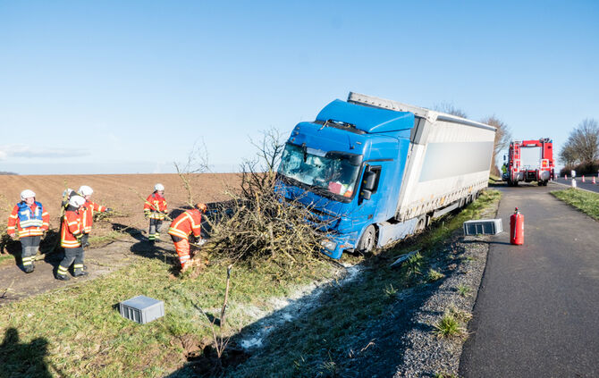 Lkw prallt gegen Baum_13