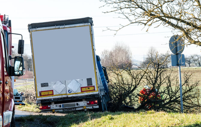 Lkw prallt gegen Baum_14