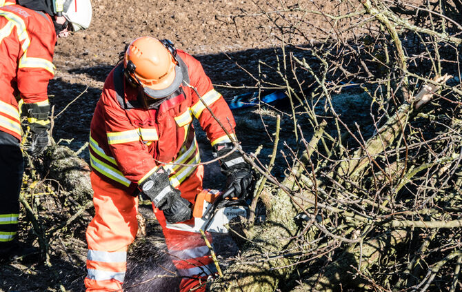 Lkw prallt gegen Baum_17
