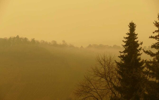 Sahara Staub Gelb Himmel Saharastaub