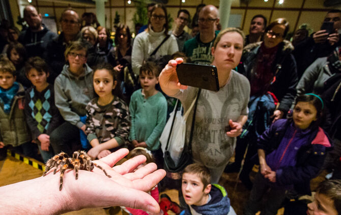 Insektopia, Waiblingen, 18-02-2018.