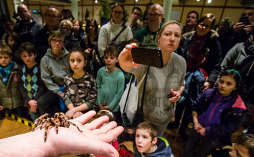 Insektopia, Waiblingen, 18-02-2018.