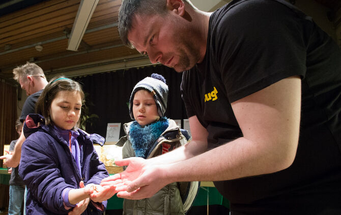 Spinnen & Insekten Ausstellung - Bild 06_6