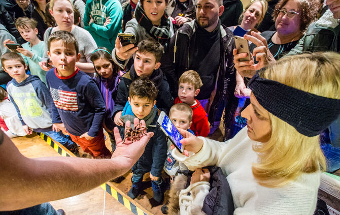 Insektopia, Waiblingen, 18-02-2018.