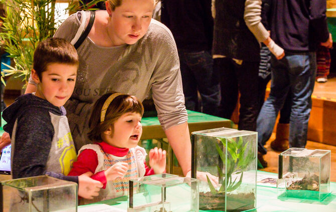 Spinnen & Insekten Ausstellung - Bild 14_14