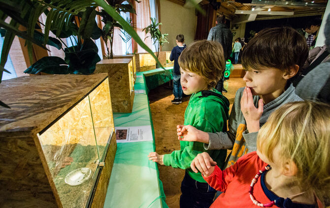 Insektopia, Waiblingen, 18-02-2018.