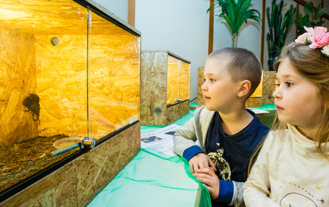 Insektopia, Waiblingen, 18-02-2018.