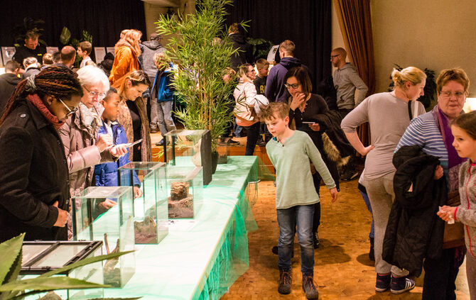 Spinnen & Insekten Ausstellung - Bild 27_27