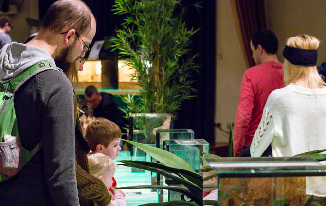 Spinnen & Insekten Ausstellung - Bild 28_28