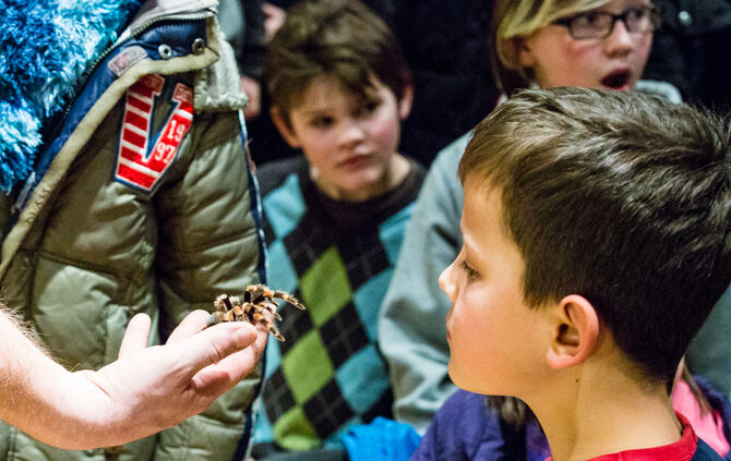 Insektopia, Waiblingen, 18-02-2018.
