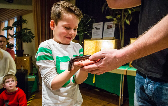 Insektopia, Waiblingen, 18-02-2018.