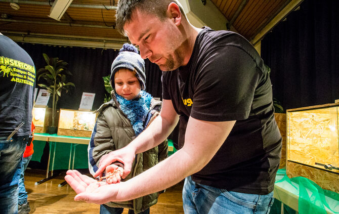 Insektopia, Waiblingen, 18-02-2018.