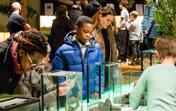 Spinnen & Insekten Ausstellung - Bild 46_45