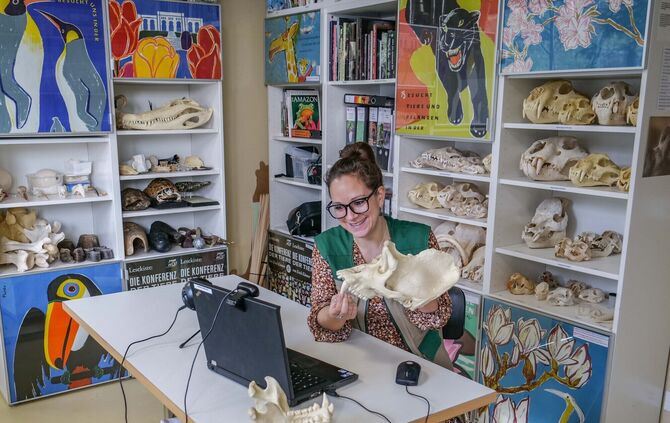 KW 06a Online-Angebote der Wilhelmaschule 08.02.2021 Bild 1