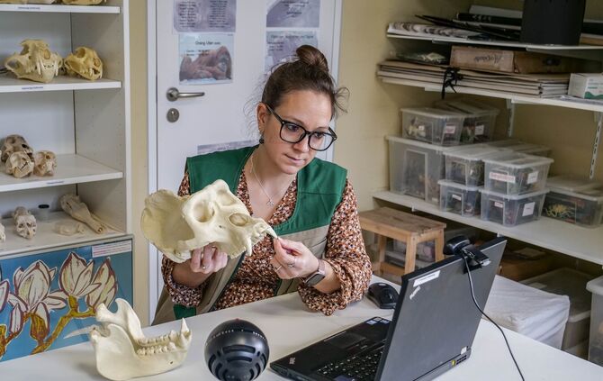 KW 06a Online-Angebote der Wilhelmaschule 08.02.2021 Bild 2