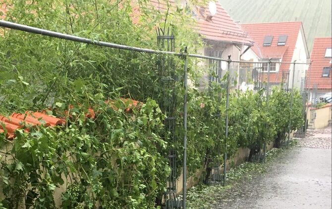 Unwetterschäden in Strümpfelbach_30