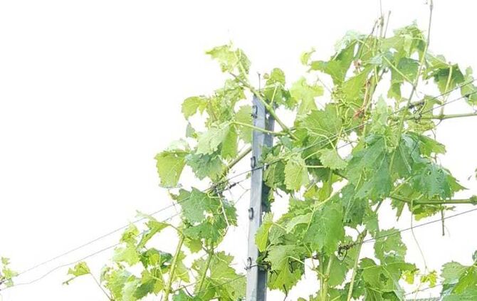 Unwetterschäden in Strümpfelbach_34